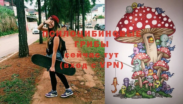 ГАЛЛЮЦИНОГЕННЫЕ ГРИБЫ Алексин