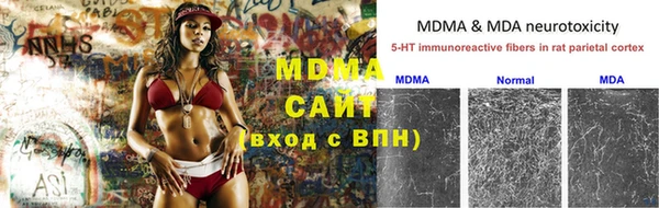 шишки Новозыбков