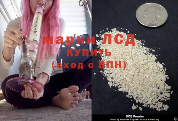 ГАЛЛЮЦИНОГЕННЫЕ ГРИБЫ Алексин