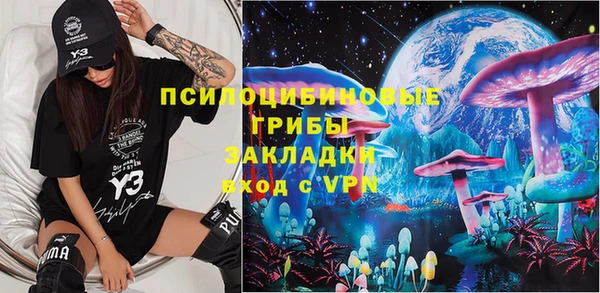 ГАЛЛЮЦИНОГЕННЫЕ ГРИБЫ Алексин
