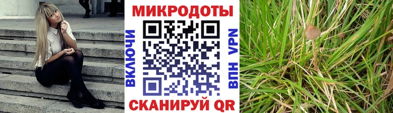 Галлюциногенные грибы GOLDEN TEACHER  Нюрба 